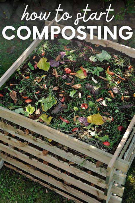 Guide to Composting at Home
