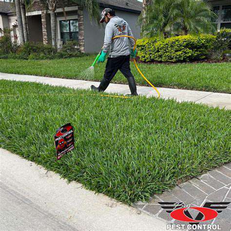 How to Care for Your Lawn