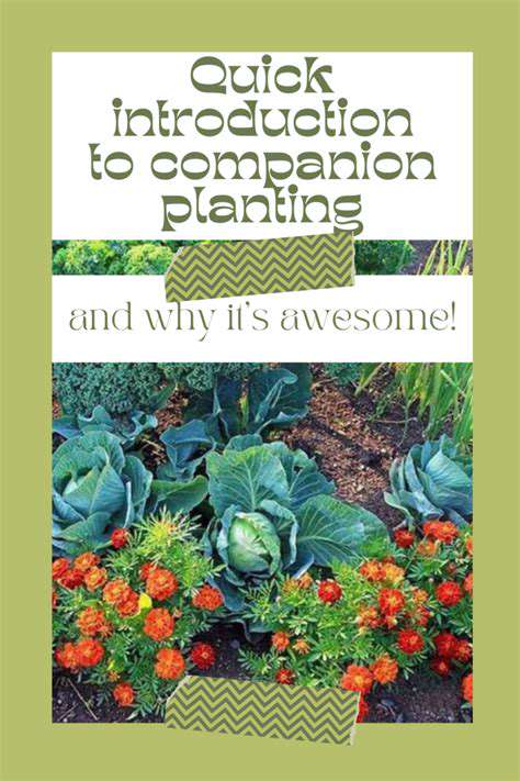 IntroductiontoCompanionPlanting:ANaturalApproachtoPestControlandBountifulGrowth