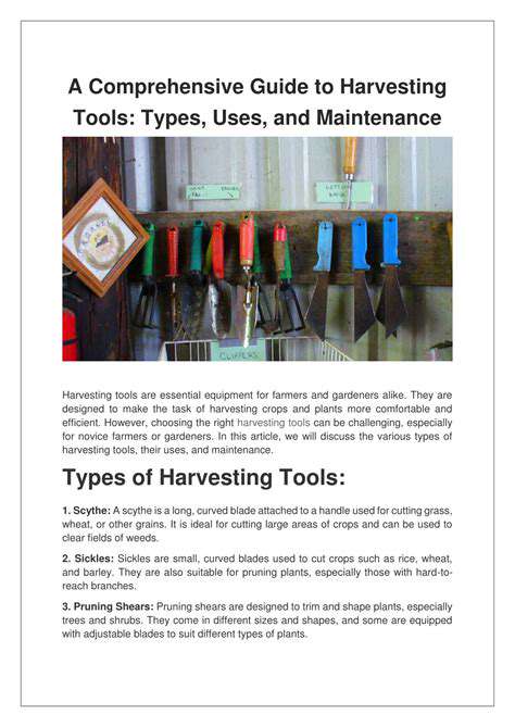 Best Tools for Indoor Gardening