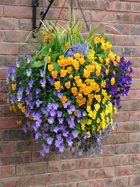 Best Plants for Hanging Baskets