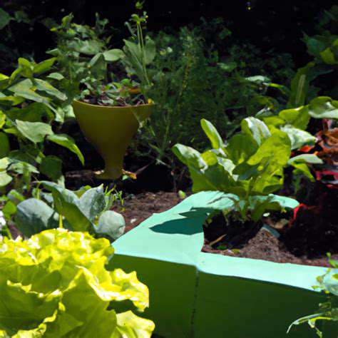 WateringandFertilizingYourContainerVegetables