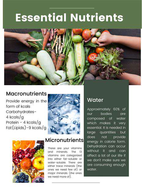 How to Improve Your Garden Soil