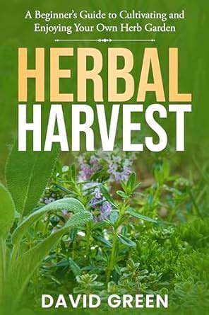 Guide to Growing Herbs on Your Windowsill