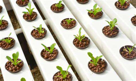 HydroponicPlantSelectionandCare