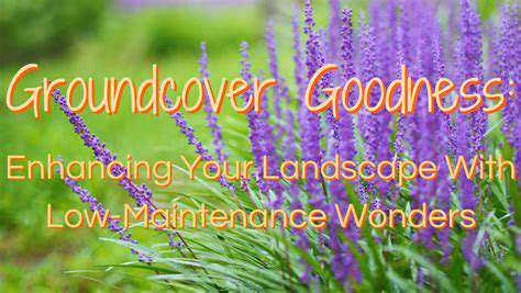 Best Flowering Plants for Your Balcony