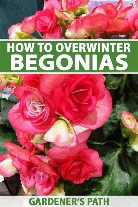 ChoosingtheRightPlantsforOverwintering