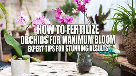 FertilizingYourOrchidforMaximumBlooms