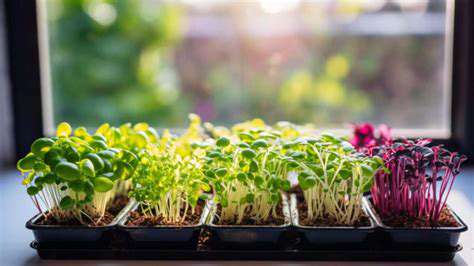 HarvestingandEnjoyingYourFreshMicrogreens