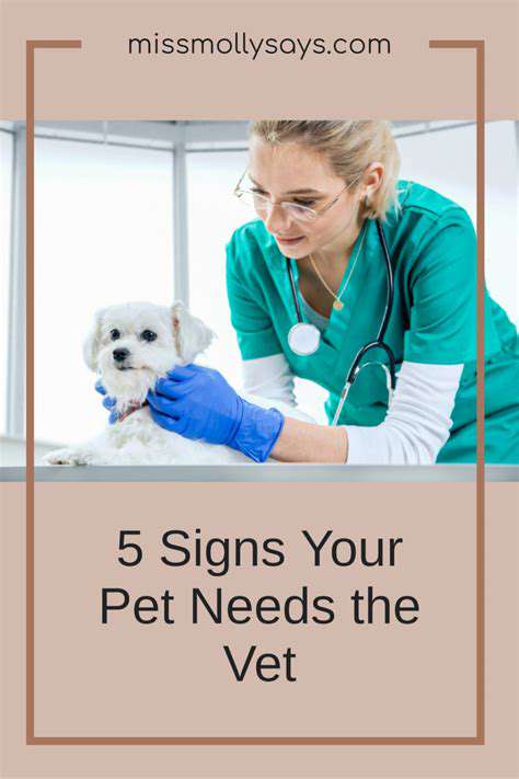 IdentifyingYourPet'sNeedsandYourLifestyle